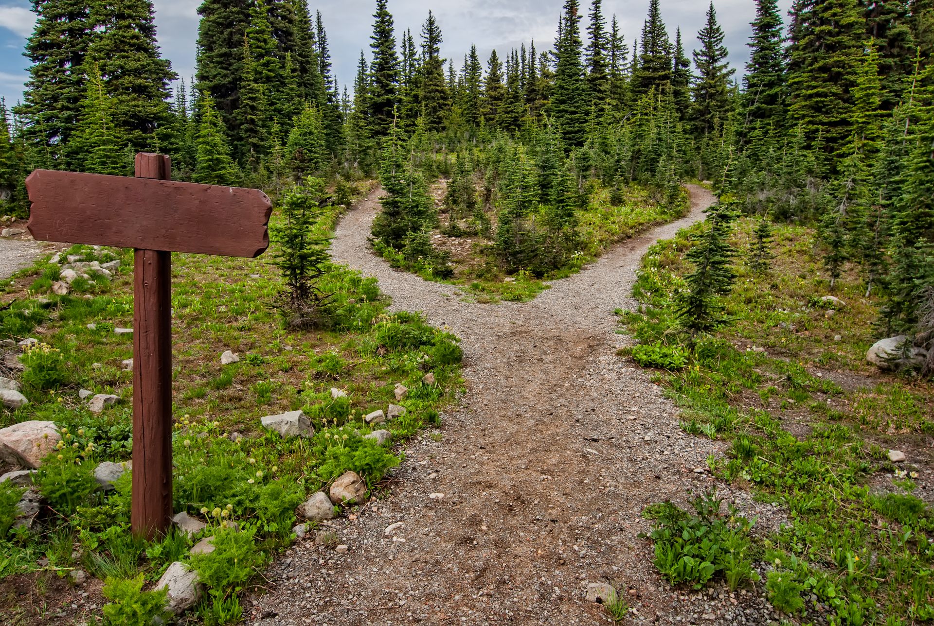 A trail splitting into two paths at a wooden signpost